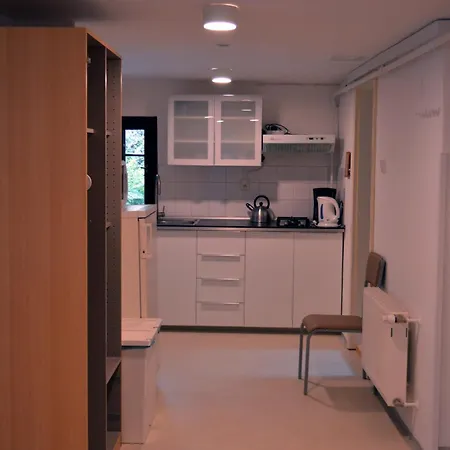 Apartment Horska U Vleku